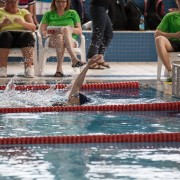 IMG_9141.jpg