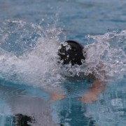wag56.jpg