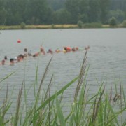 2006lange-08.jpg